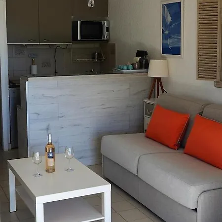 Vue Mer- Beau Studio - Terrasse Abritee - Wi-fi - Climatisation - Parking Gratuit