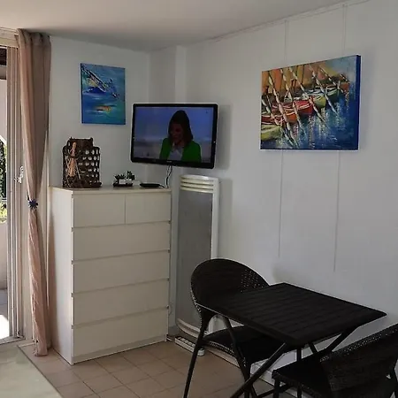 Vue Mer- Beau - Terrasse Abritee - Wi-fi - Climatisation - Parking Gratuit *